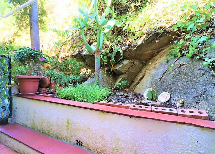 Mallorca 8 Canyelles - Immo Barneda * 로지즈